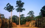 The Terrace of the Leper King was built during the reign of King Jayavarman VII.<br/><br/>

Angkor Thom is located one mile north of Angkor Wat. It was built in the late 12th century by king Jayavarman VII, and covers an area of 9 km², within which are located several monuments from earlier eras as well as those established by Jayavarman and his successors. At the centre of the city is Jayavarman's state temple, the Bayon, with the other major sites clustered around the Victory Square immediately to the north.<br/><br/>

Angkor Thom was established as the capital of Jayavarman VII's empire, and was the centre of his massive building programme. One inscription found in the city refers to Jayavarman as the groom and the city as his bride.<br/><br/>

Angkor Thom seems not to be the first Khmer capital on the site, however, as Yasodharapura, dating from three centuries earlier, was centred slightly further northwest.<br/><br/>

The last temple known to have been constructed in Angkor Thom was Mangalartha, which was dedicated in 1295. In the following centuries Angkor Thom remained the capital of a kingdom in decline until it was abandoned some time prior to 1609. It is believed to have sustained a population of 80,000-150,000 people. 