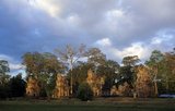Suor Prat Towers or 'Towers of the Rope Dancers' were built in the early 13th century.<br/><br/> 

Angkor Thom, meaning ‘The Great City’, is located one mile north of Angkor Wat. It was built in the late 12th century CE by King Jayavarman VII, and covers an area of 9 km², within which are located several monuments from earlier eras as well as those established by Jayavarman and his successors. It is believed to have sustained a population of 80,000-150,000 people. At the centre of the city is Jayavarman's state temple, the Bayon, with the other major sites clustered around the Victory Square immediately to the north.<br/><br/>

Angkor Thom was established as the capital of Jayavarman VII's empire, and was the centre of his massive building programme. One inscription found in the city refers to Jayavarman as the groom and the city as his bride.<br/><br/> 

Angkor Thom seems not to be the first Khmer capital on the site, however, as Yasodharapura, dating from three centuries earlier, was centred slightly further northwest.<br/><br/>

The last temple known to have been constructed in Angkor Thom was Mangalartha, which was dedicated in 1295. In the following centuries Angkor Thom remained the capital of a kingdom in decline until it was abandoned some time prior to 1609. 

