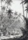 Sri Lanka: Elephant riders passing through coconut plantations in the rain, c.1928