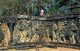 The Terrace of the Elephants was used by King Jayavarman VII to review his victorious army.<br/><br/>

Angkor Thom, meaning ‘The Great City’, is located one mile north of Angkor Wat. It was built in the late 12th century by King Jayavarman VII, and covers an area of 9 km², within which are located several monuments from earlier eras as well as those established by Jayavarman and his successors. It is believed to have sustained a population of 80,000-150,000 people.<br/><br/>

At the centre of the city is Jayavarman's state temple, the Bayon, with the other major sites clustered around the Victory Square immediately to the north. Angkor Thom was established as the capital of Jayavarman VII's empire, and was the centre of his massive building programme. One inscription found in the city refers to Jayavarman as the groom and the city as his bride.<br/><br/>

Angkor Thom seems not to be the first Khmer capital on the site, however, as Yasodharapura, dating from three centuries earlier, was centred slightly further northwest. The last temple known to have been constructed in Angkor Thom was Mangalartha, which was dedicated in 1295. In the following centuries Angkor Thom remained the capital of a kingdom in decline until it was abandoned some time prior to 1609. 